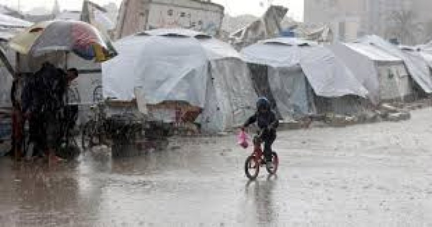 طقس فلسطين: منخفض جوي قادم وأمطار وعواصف رعدية الأحد