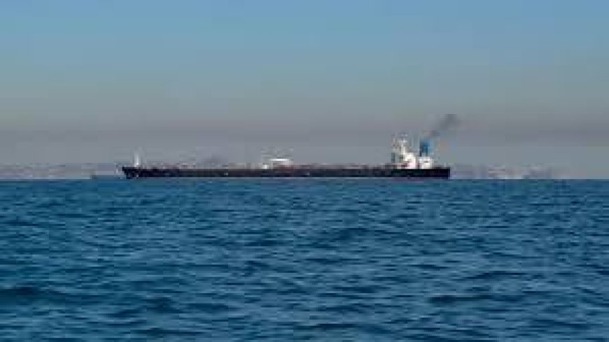 إصابة سفينة بمقذوف قبالة سواحل الإمارات قرب مضيق هرمز