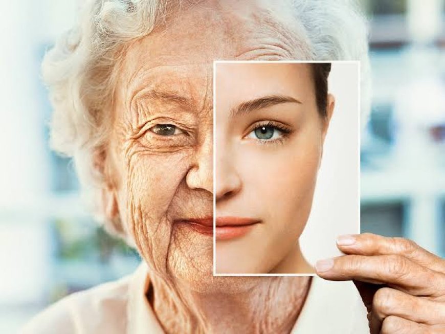 دواء لمكافحة الشيخوخة: تقنية إعادة البرمجة الجزئية قد تستعيد وظائف الأعضاء