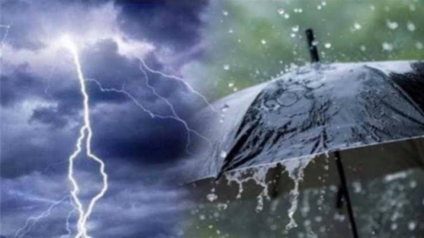 تحذير الأرصاد الجوية: أمطار رعدية غزيرة وعواصف ترابية تضرب القاهرة والمحافظات