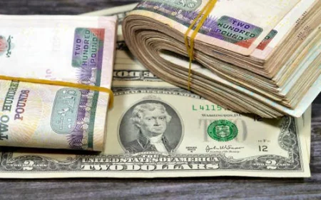 سعر الدولار اليوم في مصر تحديث لحظي الأحد 19 أبريل 2026