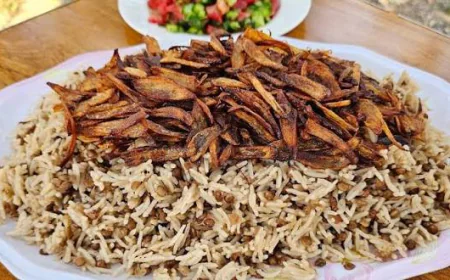 المجدرة الفلسطينية على أصولها