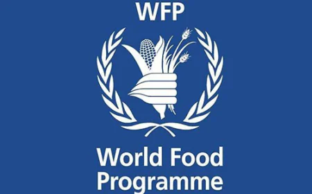 رابط تحديث بيانات برنامج الغذاء العالمي لغزة وموعد صرف المساعدات النقدية
