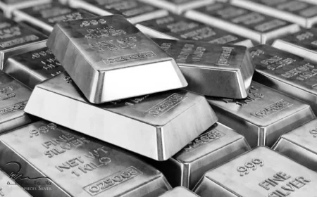 سعر الفضة اليوم يهبط بنسبة 3% ليسجل 73.10 دولار للأوقية