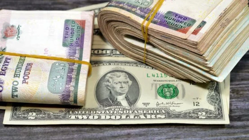 سعر الدولار اليوم في مصر تحديث لحظي الأحد 19 أبريل 2026