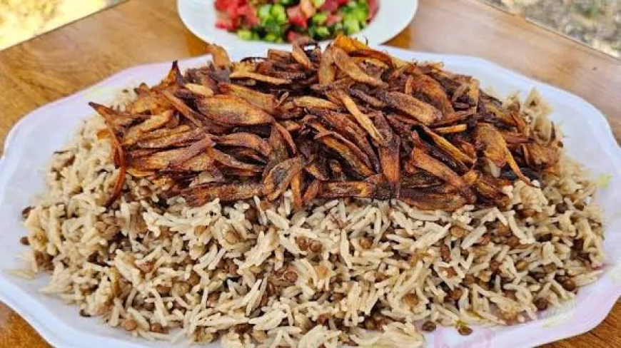 المجدرة الفلسطينية على أصولها