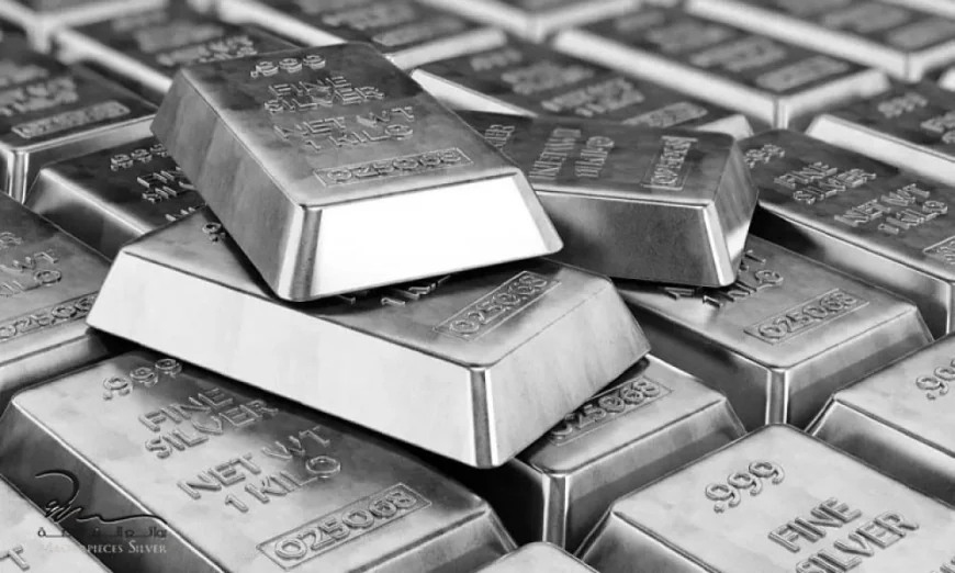 سعر الفضة اليوم يهبط بنسبة 3% ليسجل 73.10 دولار للأوقية