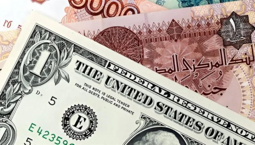 سعر الدولار في مصر اليوم الأربعاء 29 أبريل 2026