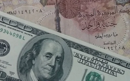 سعر الدولار اليوم في مصر الأحد 17 مايو 2026 يستقر بالبنوك