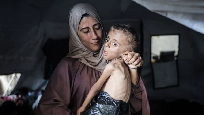 انعدام الأمن الغذائي 2026: غزة واليمن والسودان في بؤرة الجوع