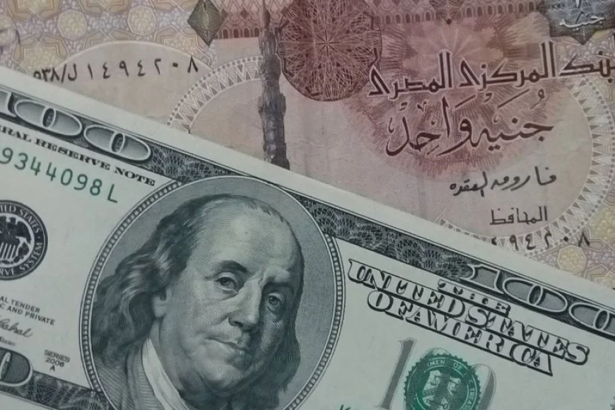 سعر الدولار اليوم في مصر الأحد 17 مايو 2026 يستقر بالبنوك