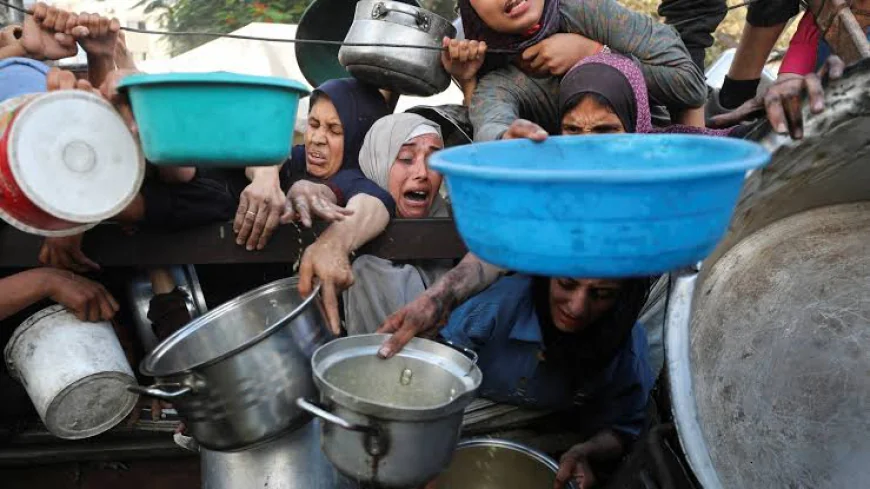 أزمة الغذاء بغزة.. تحذيرات من أخطر مراحل التجويع الممنهج وانهيار قطاع المخابز