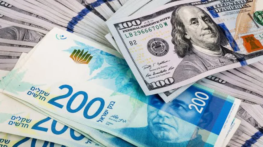 سعر الدولار مقابل الشيكل اليوم يواصل الهبوط ليسجل أدنى مستوياته