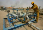ارتفاع أسعار النفط عالمياً وتطورات التوترات في الشرق الأوسط