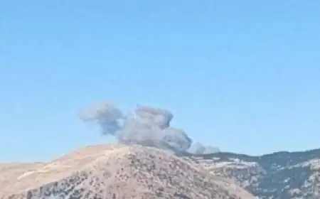 جيش الاحتلال الإسرائيلي يزعم السيطرة على مرتفعات علي الطاهر والمقاومة تنفي