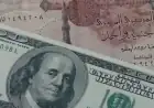 سعر الدولار اليوم في مصر الأحد 19 يوليو 2026 يقفز بالبنوك