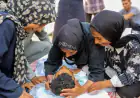 مصادر طبية: 12 شهيداً بنيران الاحتلال في غزة منذ الفجر