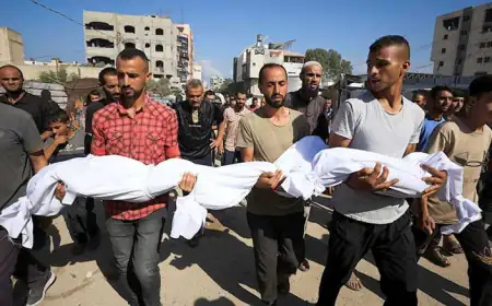 1000 يوم من الإبادة: حصيلة مرعبة لضحايا العدوان على غزة