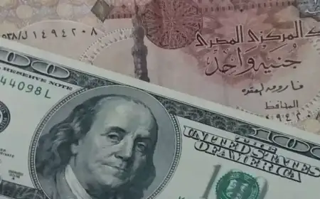 تراجع سعر الدولار أمام الجنيه المصري في البنوك ليسجل أدنى مستوياته