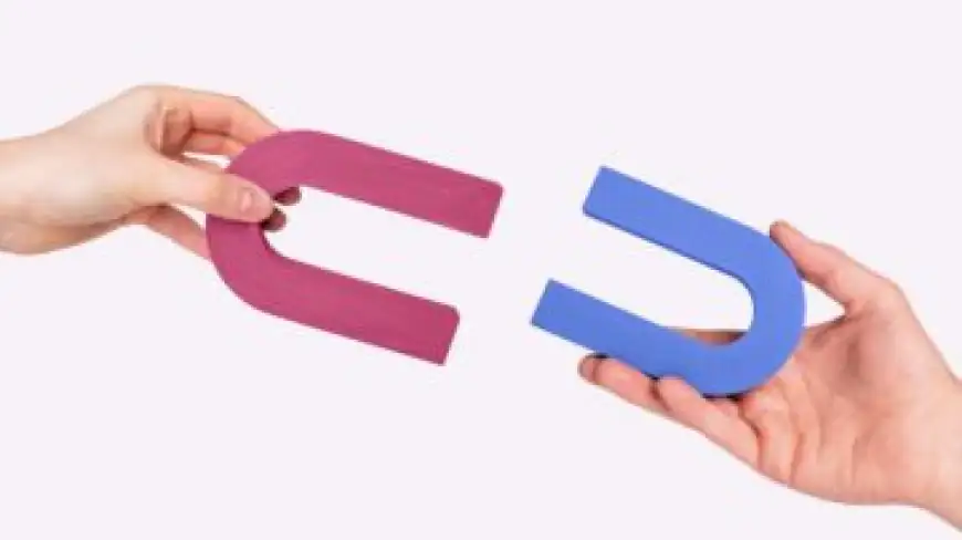 التوافق العاطفي بين الأزواج: مفتاح السعادة الزوجية الدائمة
