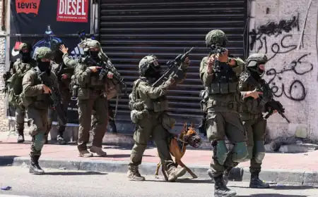 إصابات قلنديا وكفر عقب اليوم.. 48 جريحاً باقتحام الاحتلال المستمر