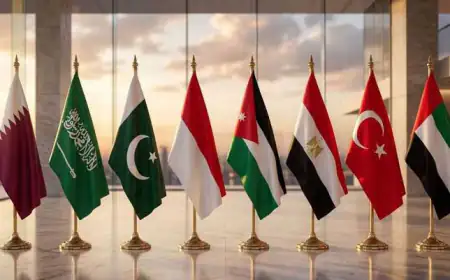 عاجل.. بيان لـ8 دول عربية وإسلامية يحمل إسرائيل مسؤولية عرقلة سلام غزة ورفض خطة ترامب
