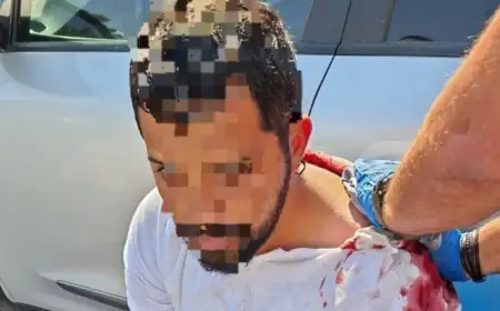 عملية طعن قرب العوجا بالأغوار وإصابة مستوطن واستنفار إسرائيلي