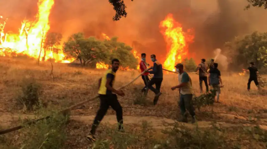 حصيلة مؤلمة لضحايا حرائق الغابات في الجزائر