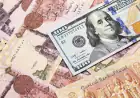 أسعار الدولار اليوم تتجاوز 51 جنيها بالبنوك المصرية