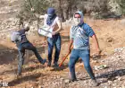 بريطانيا تعلن عقوبات على مستوطنات إسرائيلية.. حظر واردات وتشريع خلال 6-9 أشهر