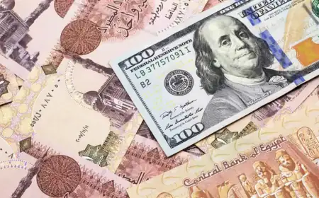 أسعار الدولار اليوم تتجاوز 51 جنيها بالبنوك المصرية