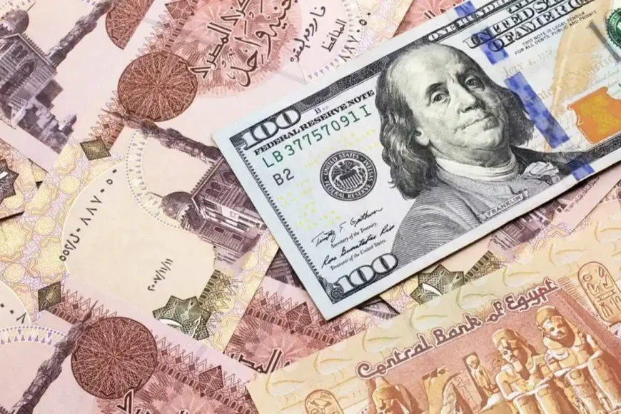 سعر الدولار اليوم في مصر يتخطى 51.90 جنيه للبيع بزيادة 1%
