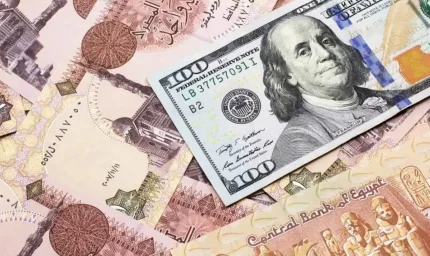 سعر الدولار اليوم في مصر يتخطى 51.90 جنيه للبيع بزيادة 1%