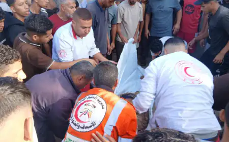 عاجل | 3 شهداء وأكثر من 10 مصابين بنيران الاحتلال في مواصي خان يونس