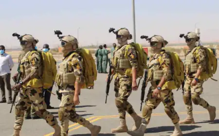 البرلمان المصري يفوّض السيسي باتخاذ إجراءات عسكرية لدعم السعودية في مواجهة الحوثيين