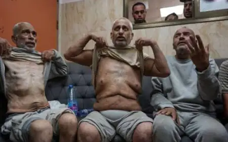 وصول 17 أسيراً محرراً إلى مجمع ناصر الطبي بخان يونس